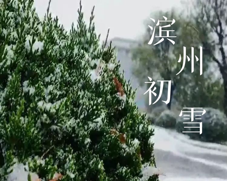11月7日，立冬当天，受冷空气影响，滨州迎来今冬第一场降雪。