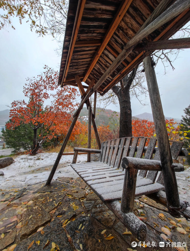 壹点图集｜初雪！潭溪山漫天雪花，这是一场深秋与初冬的相会