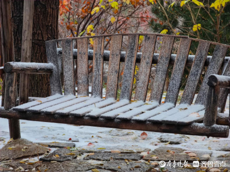 壹点图集｜初雪！潭溪山漫天雪花，这是一场深秋与初冬的相会