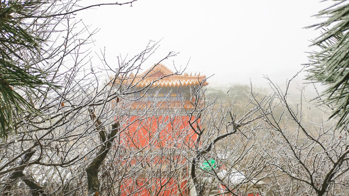 壹直播丨立冬初雪飘，泰山红门别样美