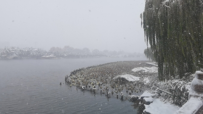 直播济南丨一下雪济南就成了济南府！记者带你看雪中老济南