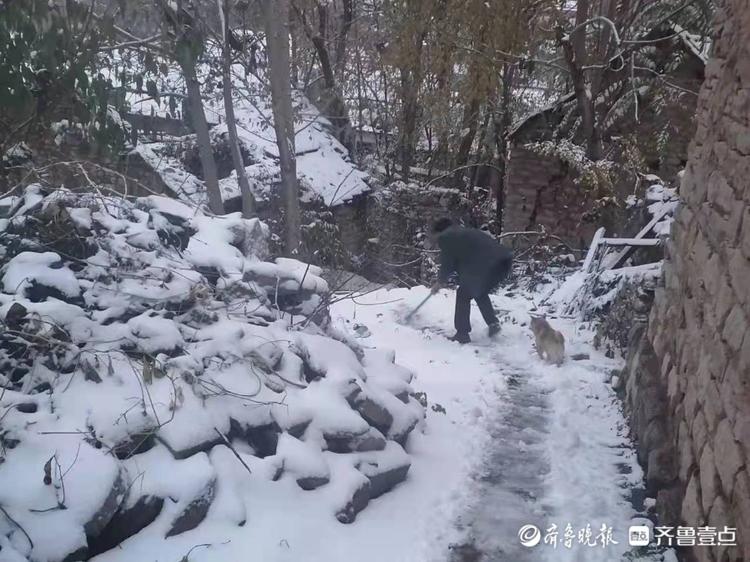 奋战初雪｜立冬淄博大雪至，博山镇党员干部锄雪忙