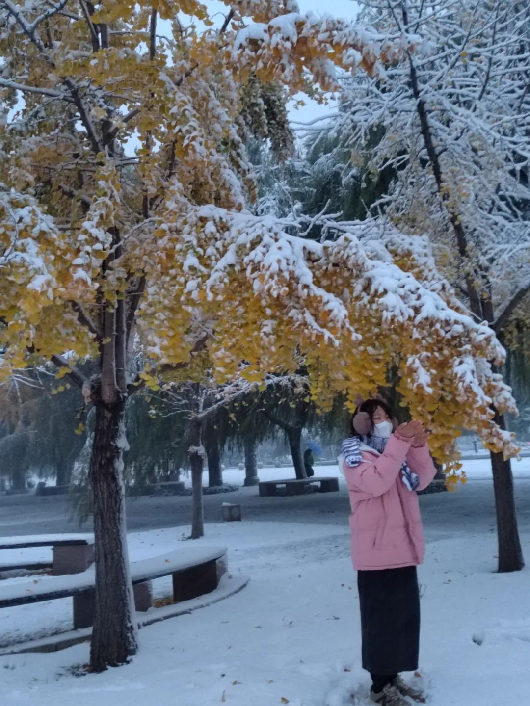 潍坊科技学院校花图片