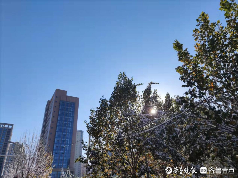 聊城雪后部分蔬菜价格轻微上涨，土豆萝卜等成过冬热销菜