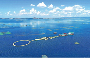 2020年山东省海洋生产总值居全国第二位