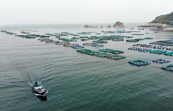 国内沿海多地竞相发展海洋经济，资本人才竞争日趋激烈