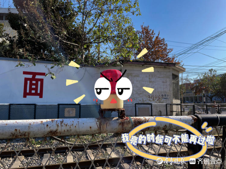 图集｜萌互动，这样的铁路你见过吗