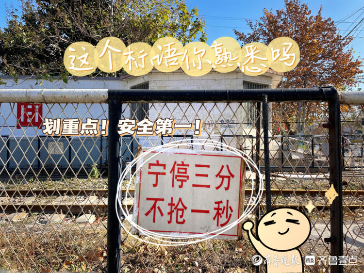 图集｜萌互动，这样的铁路你见过吗