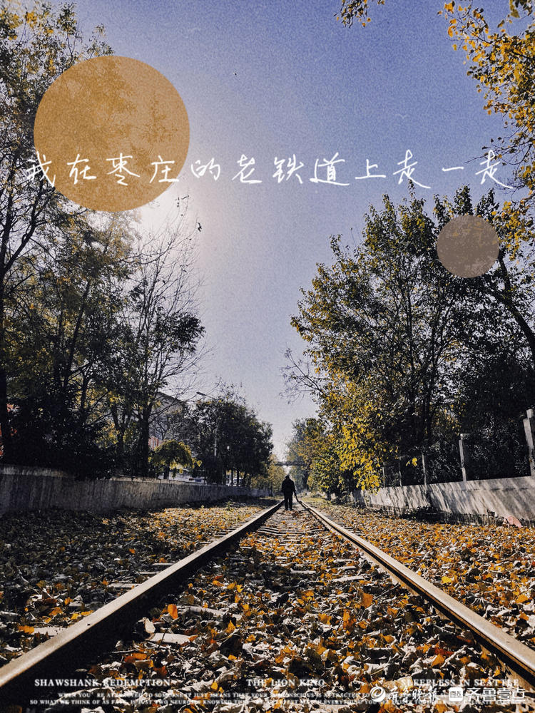 图集｜萌互动，这样的铁路你见过吗