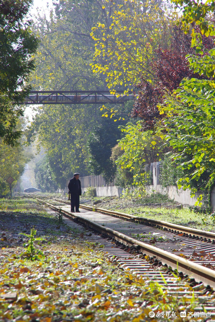 图集|铁路曾是枣庄人生活的一部分，融入枣庄城市记忆中