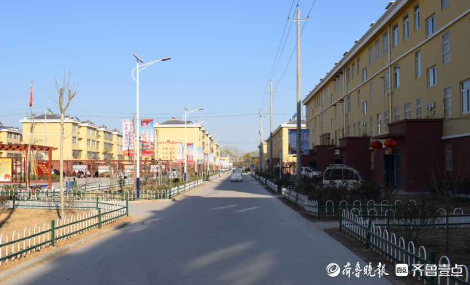 定陶区马集镇梁堂村"林长制":绿了村庄,富了村民