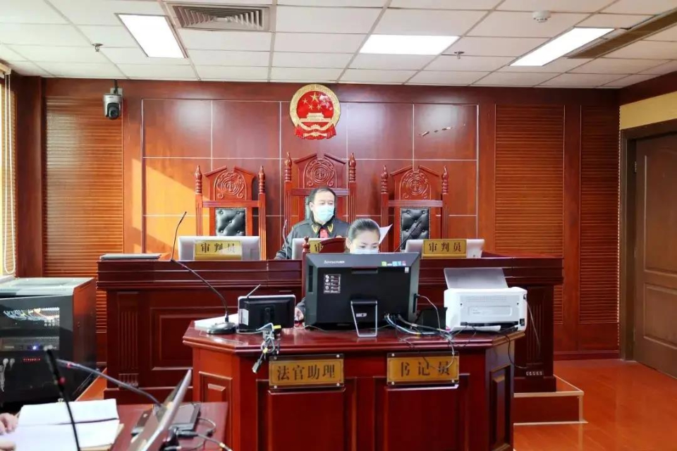 向法院提交假银行流水，罚你没商量！