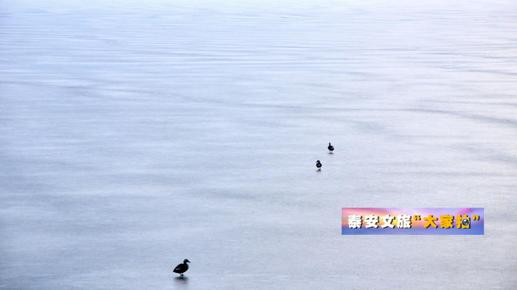 泰安文旅“大家拍”首期活动投稿作品选登