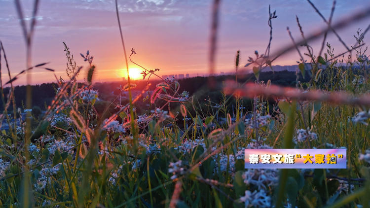 泰安文旅“大家拍”首期活动投稿作品选登