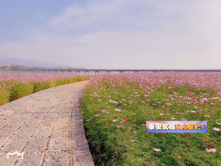 泰安文旅“大家拍”首期活动投稿作品选登