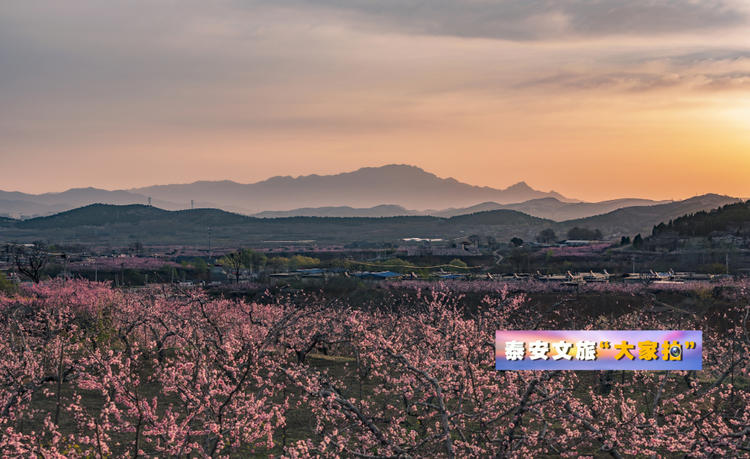 泰安文旅“大家拍”首期活动投稿作品选登