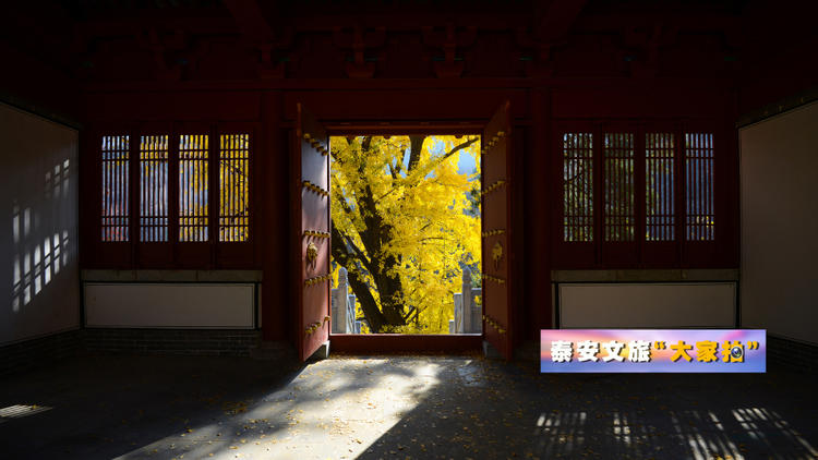 泰安文旅“大家拍”首期活动投稿作品选登