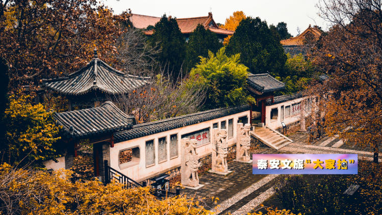 泰安文旅“大家拍”首期活动投稿作品选登