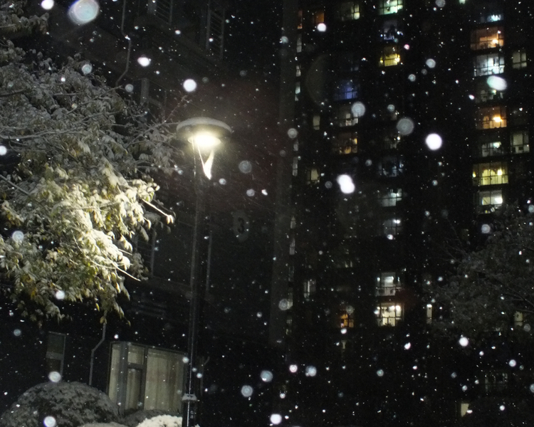 12月22日，潍坊市气象台发布重要天气预报、寒潮蓝色预警和大风黄色预警。预报称受强冷空气影响，预计23日夜间到26日，潍坊市将出现寒潮天气，伴有降雪、降温和大风。