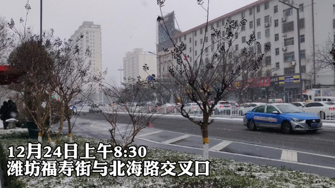 果然视频丨福寿街北海路路口车辆较多但通行顺畅