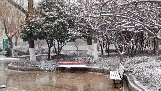 果然视频|美不胜收！跟随壹点记者来赏雪中菏泽