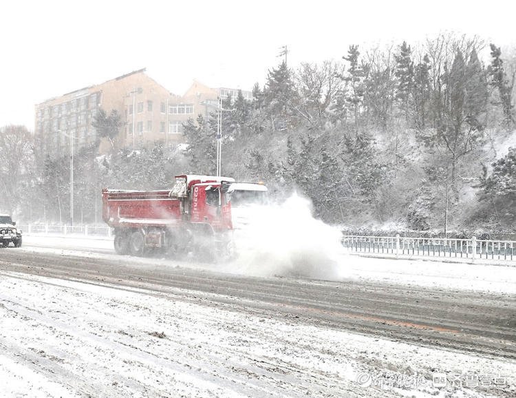 图集|火力全开！“雪窝”再度上线，烟台全力应对风雪