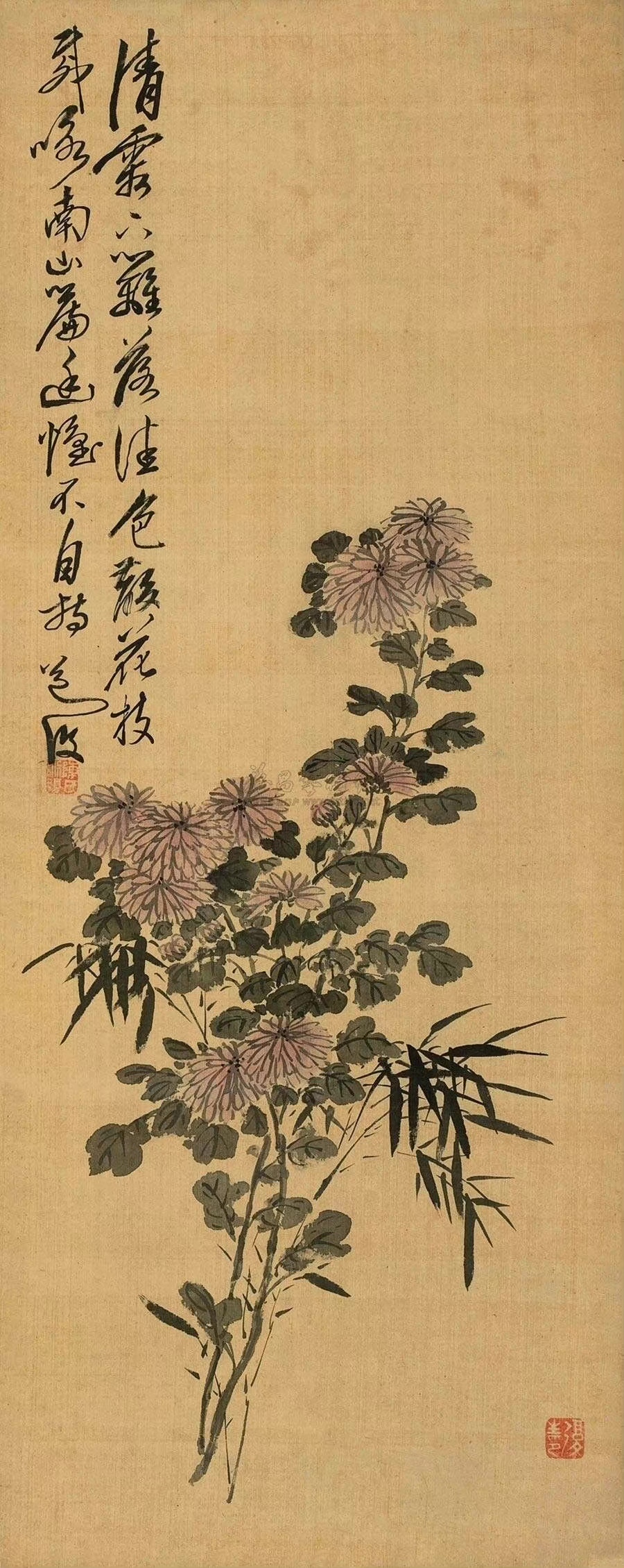 陈淳花鸟画特点图片