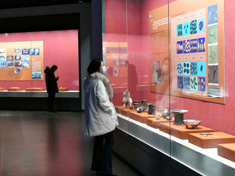 青岛考古成果展开展，青岛160余件出土文物亮相