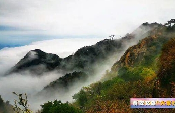 泰安文旅"大家拍"二期优秀作品发布，有航拍的片子很漂亮