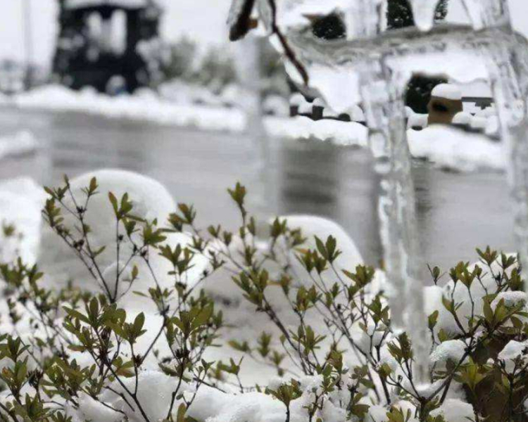 受冷空气影响，10日开始，山东出现大风降温和雨雪天气，德州、聊城、济南、淄博、潍坊、青岛和烟台有小到中雪局部大雪。