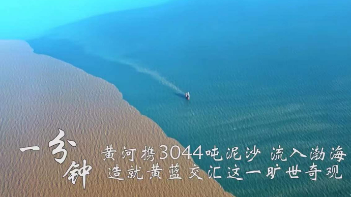 果然视频｜东营一分钟
