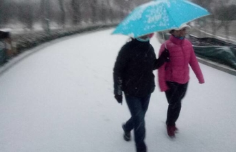 热闻丨飞雪迎春到！山东多地迎来降雪，道路结冰注意安全