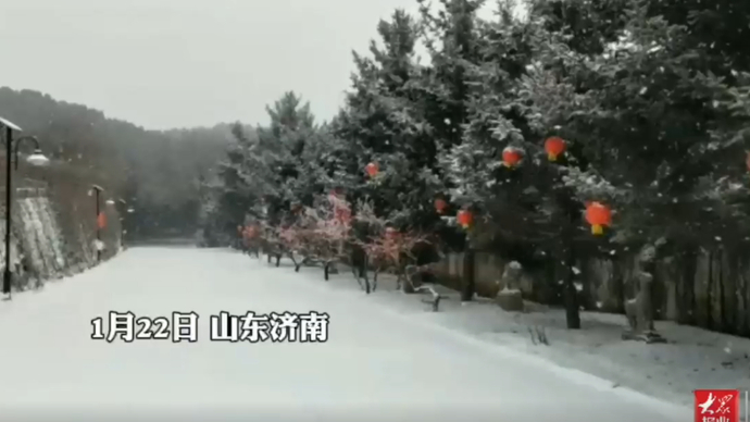 果然视频|济南“雪窝子”又下雪啦！跑马岭迎来今年第四场降雪