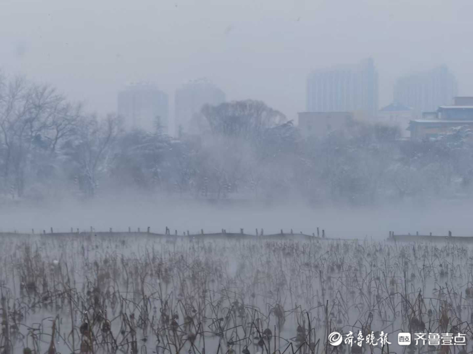 情报站|烟波浩渺宛如仙境！雪中的济南大明湖有多美？一起看看吧