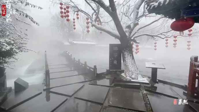 果然视频|济南章丘百脉泉现“雪打红灯笼”美景