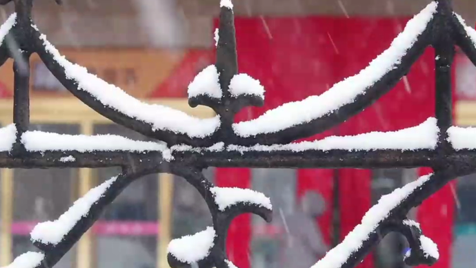 果然视频|雪落济南大街小巷，各行各业有条不紊