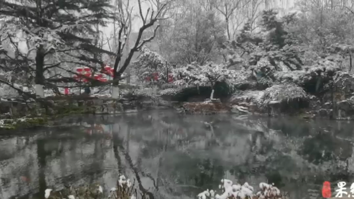 果然视频|来趵突泉看雪打灯 听雪落下的声音