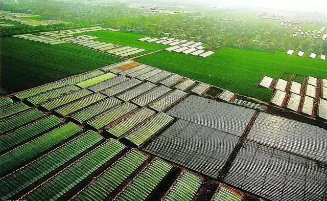 两会深访|向“千亿”进发，“寿光蔬菜”“烟台苹果”准备好了吗