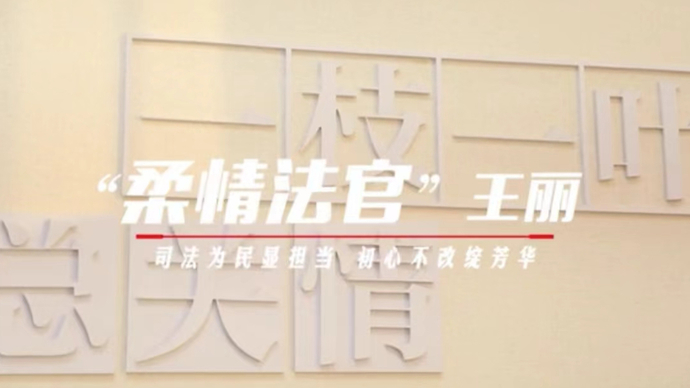 我当委员这几年|山东省政协委员王丽：百姓心中的“柔情”法官