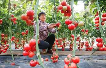 省政府工作报告点名这四类农产品，要下一盘大棋