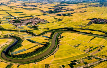 报告深读|描绘乡村振兴壮美画卷，看山东怎样运笔