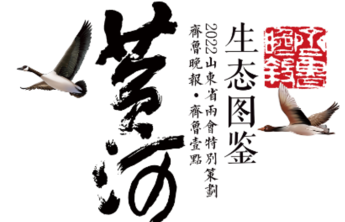 两会手绘|九曲黄河山东入海，一卷尽览齐鲁黄河千里生态图景