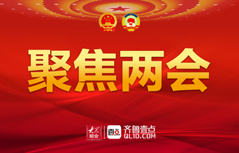 山东省人民代表大会公告