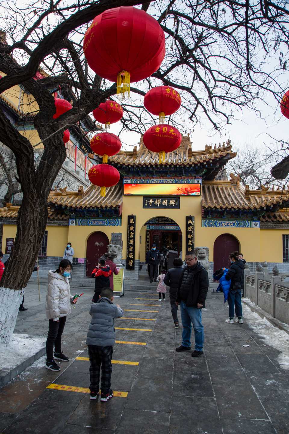 壹粉过大年|春节去哪玩？登高祈福贺新春，济南千佛山景区人气旺