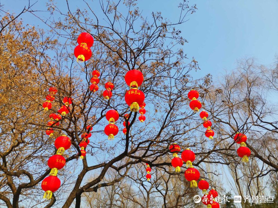 壹粉过大年|赏泉赏景啦！济南百脉泉公园泉水撒欢喷涌，煞是喜人