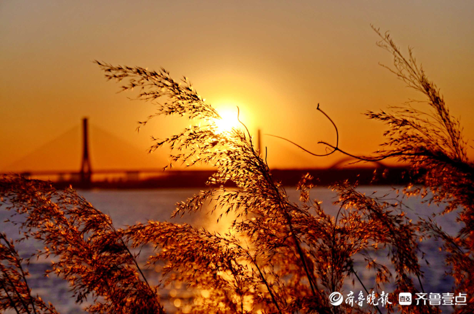 壹粉过大年|水天一色，夕阳余晖！早春夕阳下黄河落日美如画