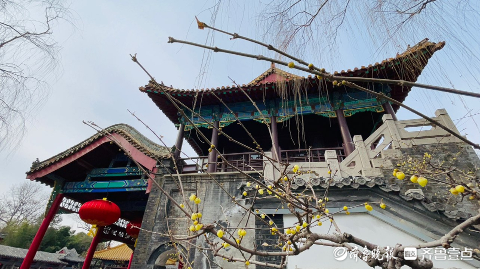 壹粉过大年|初六往外走！济南趵突泉畔游人如织，感受泉水的滋润