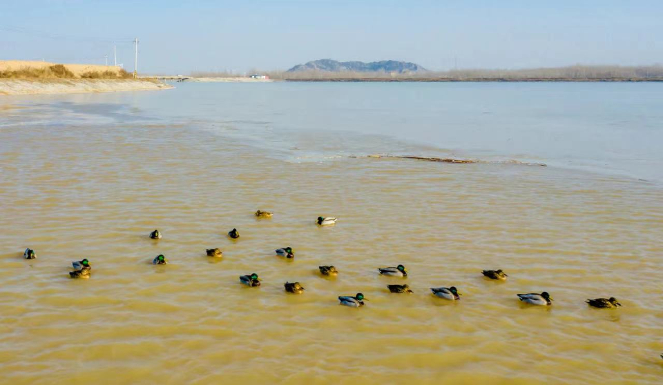 济南文旅2022｜举办“中华二安诗词大会”，打造“诗城词都”