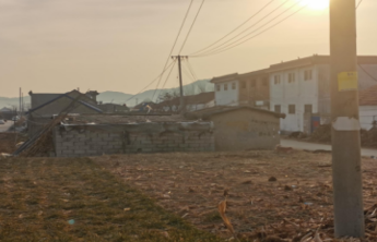 乡村校长的寒假日记|郑晶晶：这个寒假犹如冬日的暖阳，闪着金光