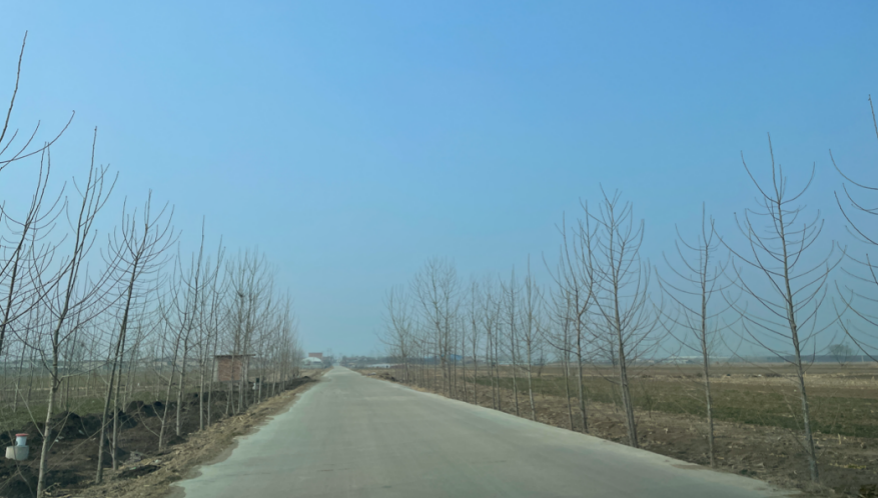 乡村教师的寒假日记|谢明利：学生治愈了我的内心，给我无限动力